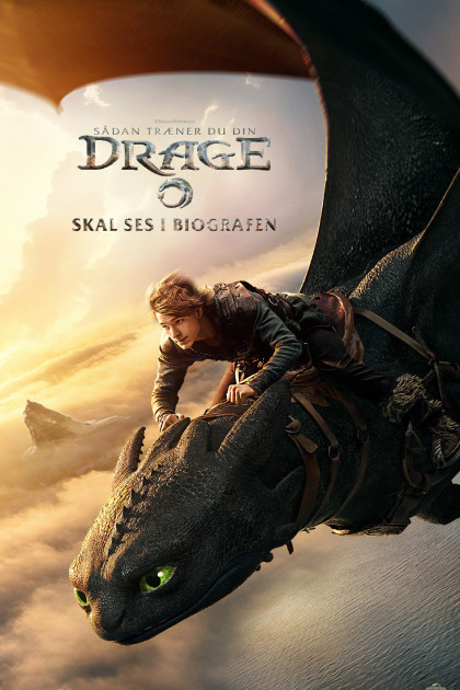  Sådan træner du din drage