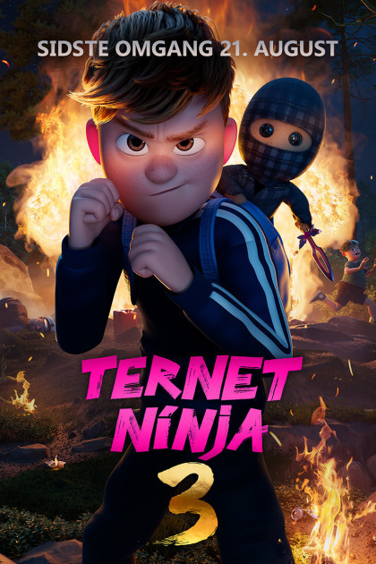 Ternet Ninja 4